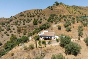 Casita T